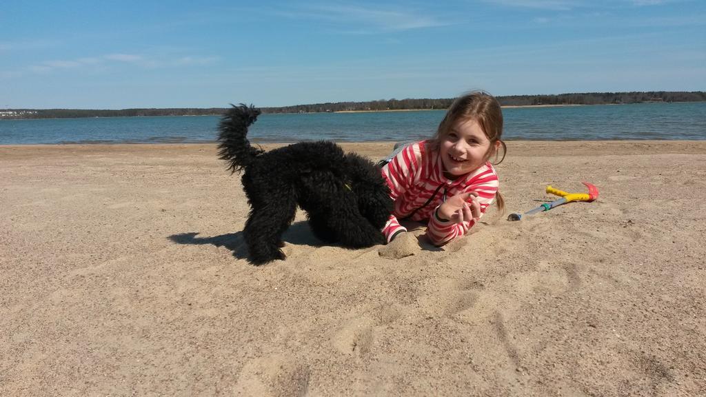 Groena Uddens Camping Maarianhamina Zewnętrze zdjęcie